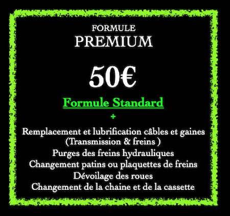 Premium bicycle repair package Antibes Juan-les-pins and Cannes