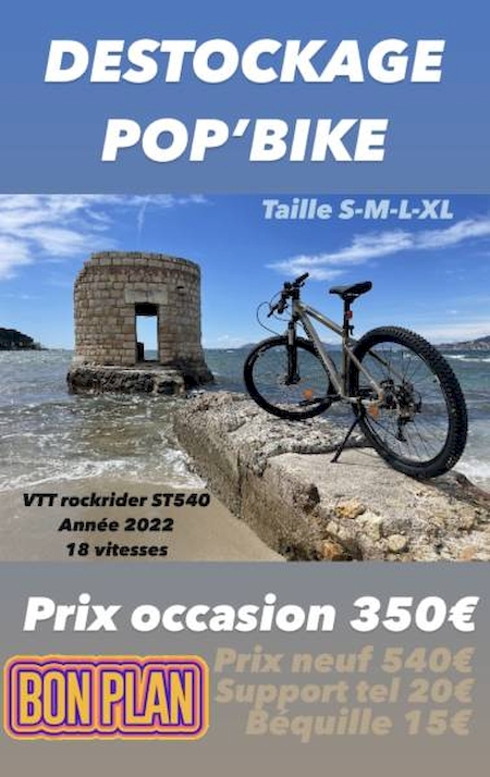 Electric mountain bike sale